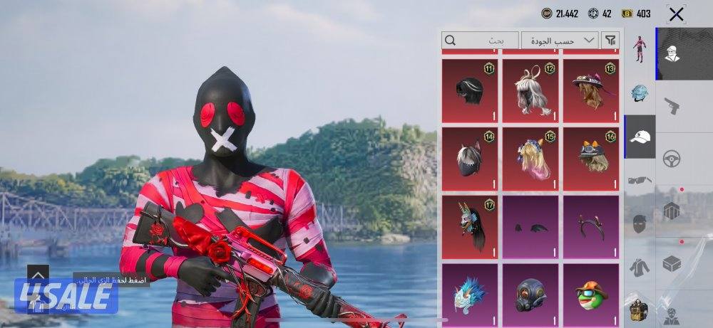 حساب ببجي للبيع13