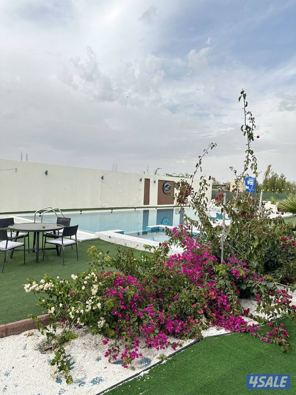 مزرعه كوينز لاند العبدلي2