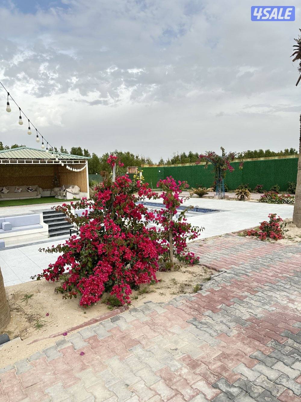 مزرعه كوينز لاند العبدلي4