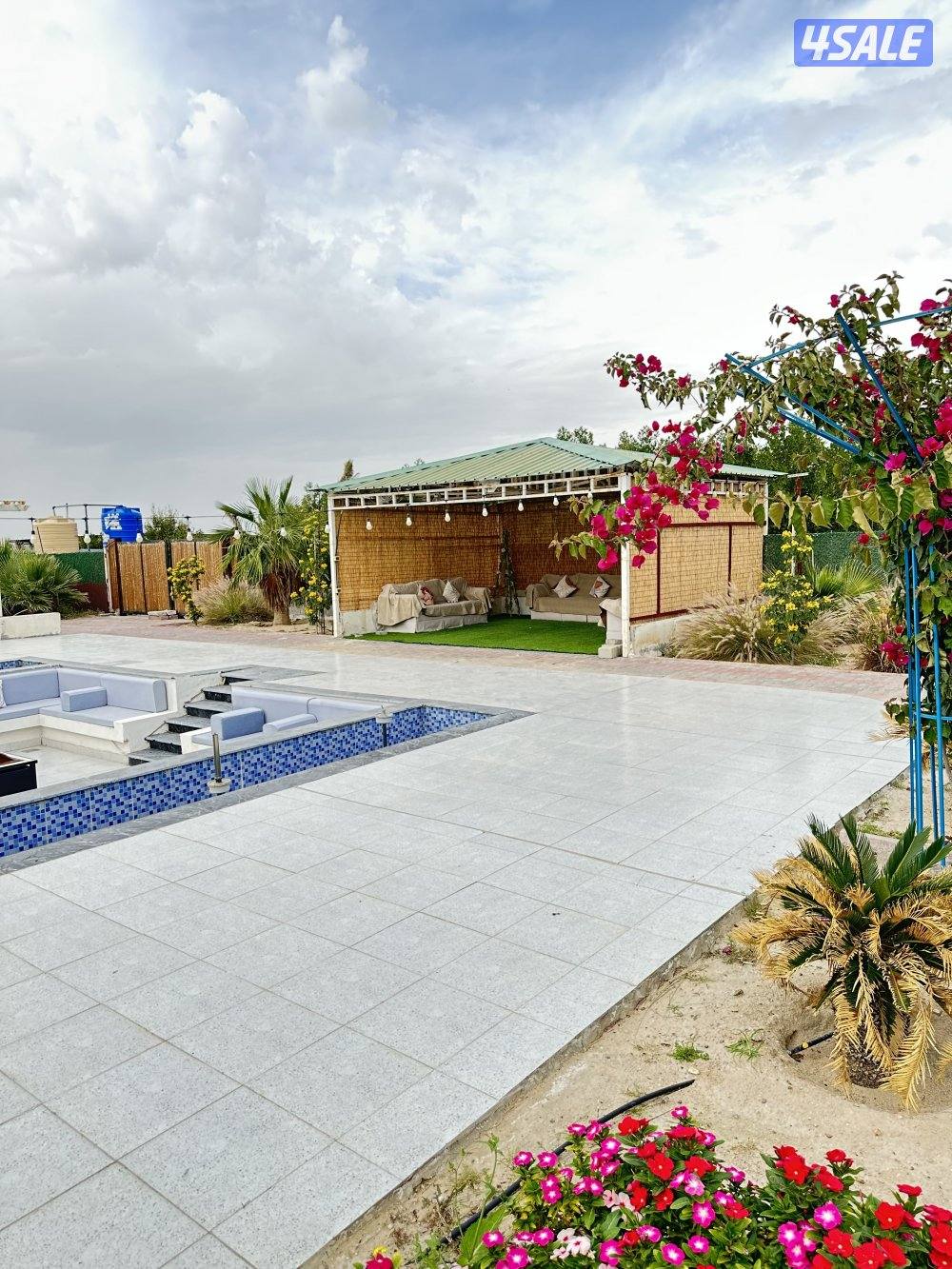 مزرعه كوينز لاند العبدلي6