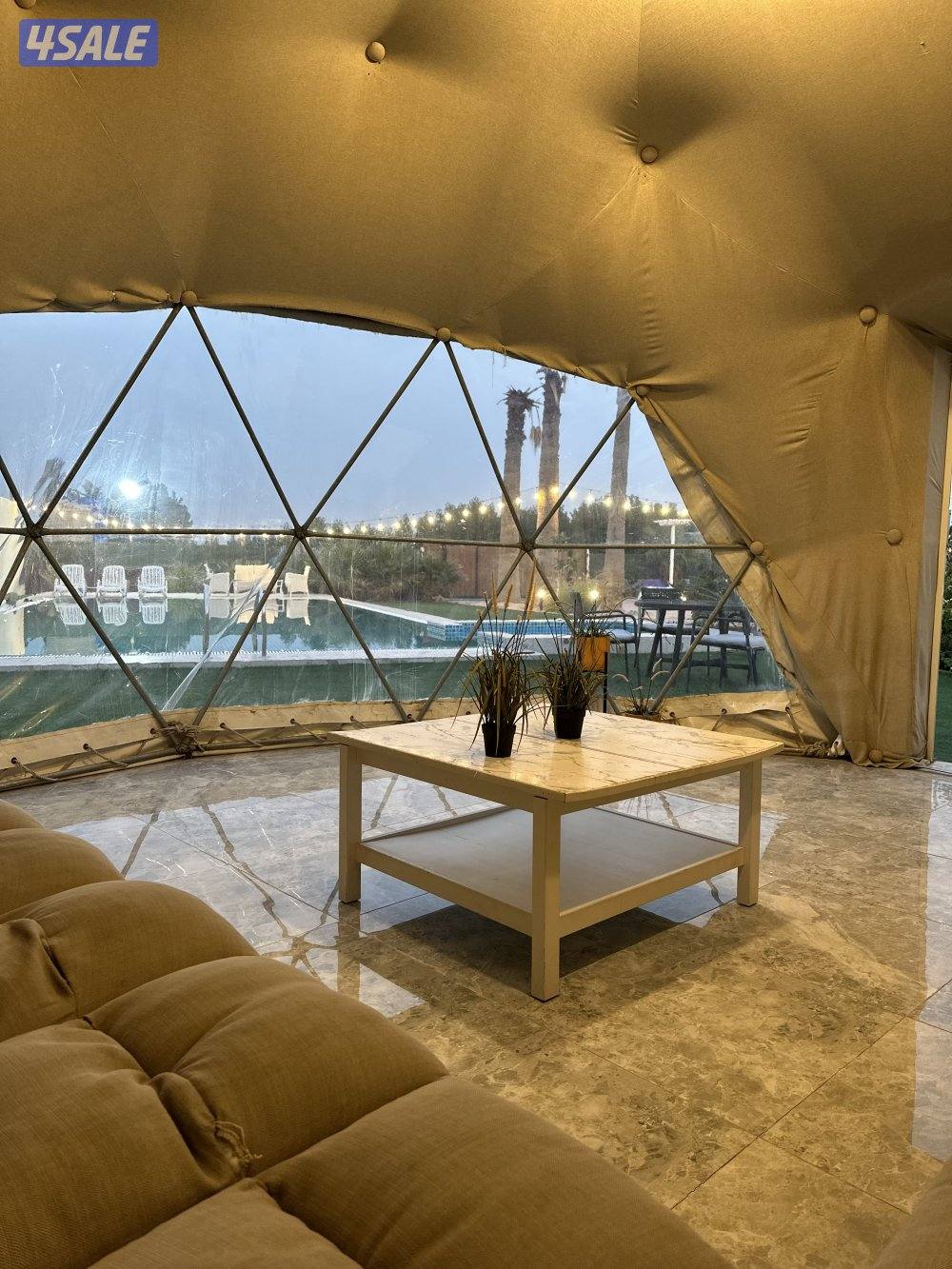 مزرعه كوينز لاند العبدلي13