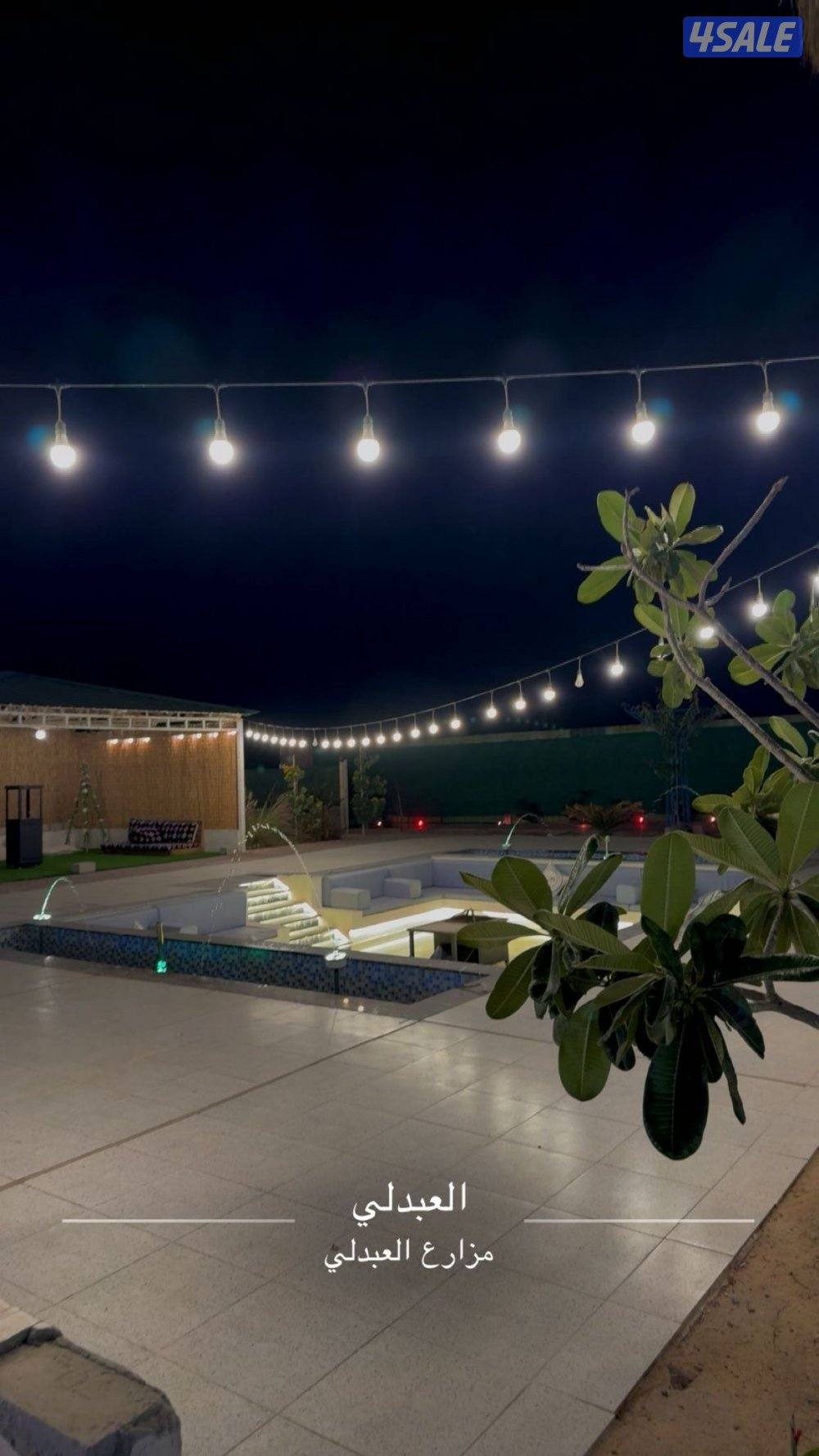 مزرعه كوينز لاند العبدلي15