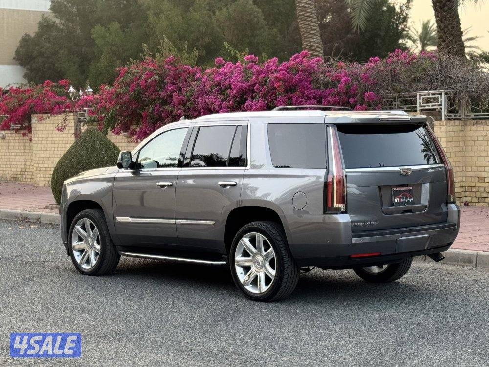 اسكاليد صبغ وكاله ٢٠١٨3