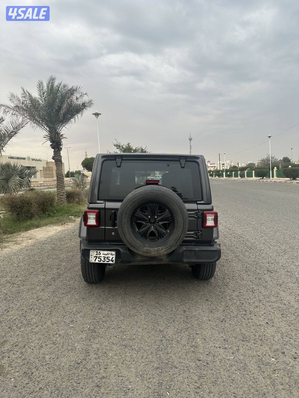 للبيع جيب رانجلر JL 20185