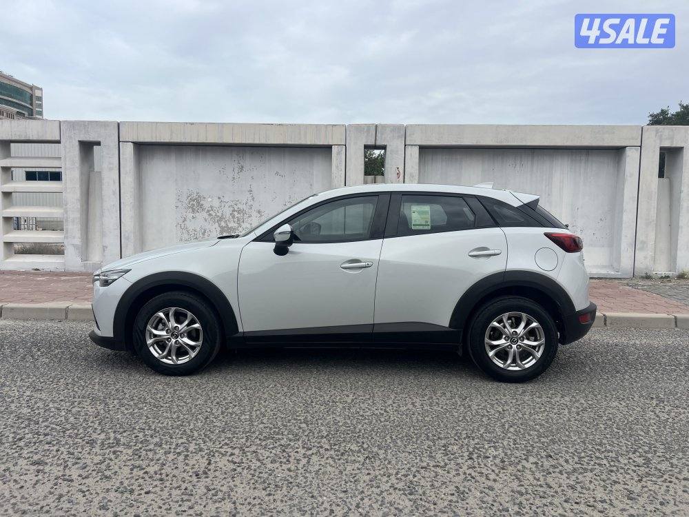 صبغ الوكاله 2023 ماشي 830