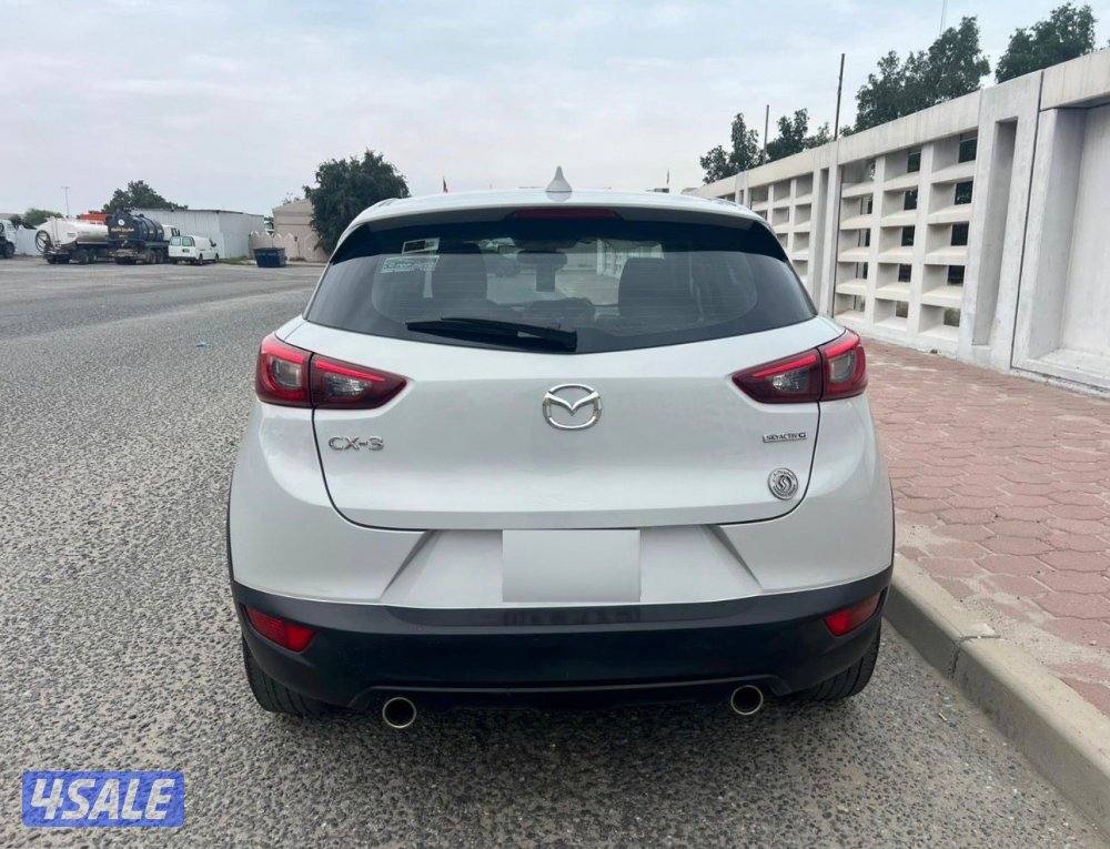 صبغ الوكاله 2023 ماشي 831