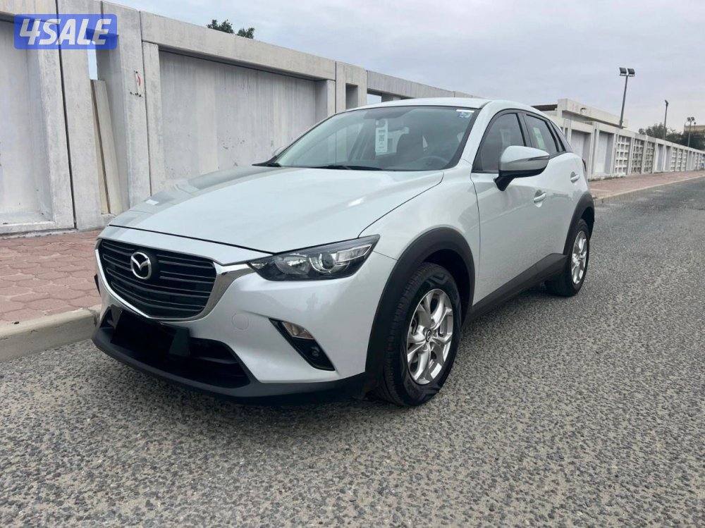 صبغ الوكاله 2023 ماشي 832