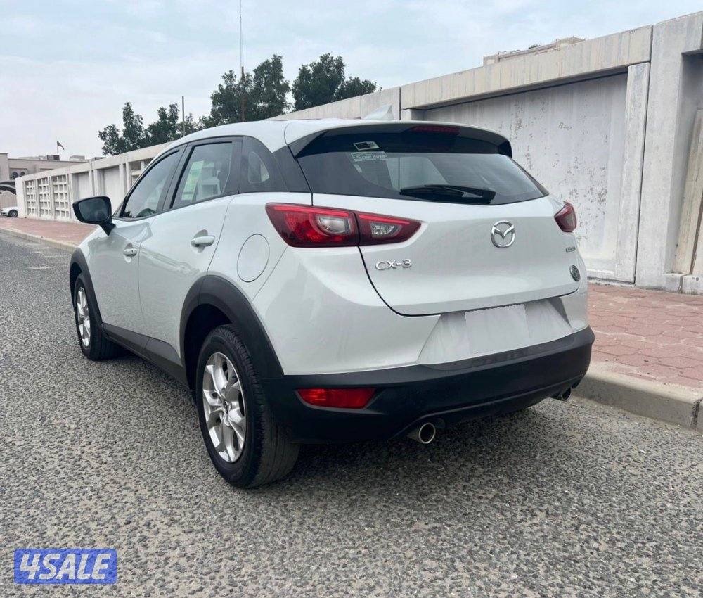 صبغ الوكاله 2023 ماشي 834