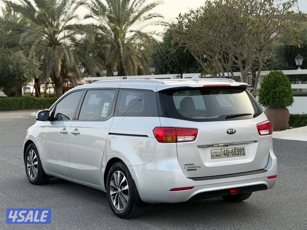 كرنفال 2018 بحالة الوكالة3