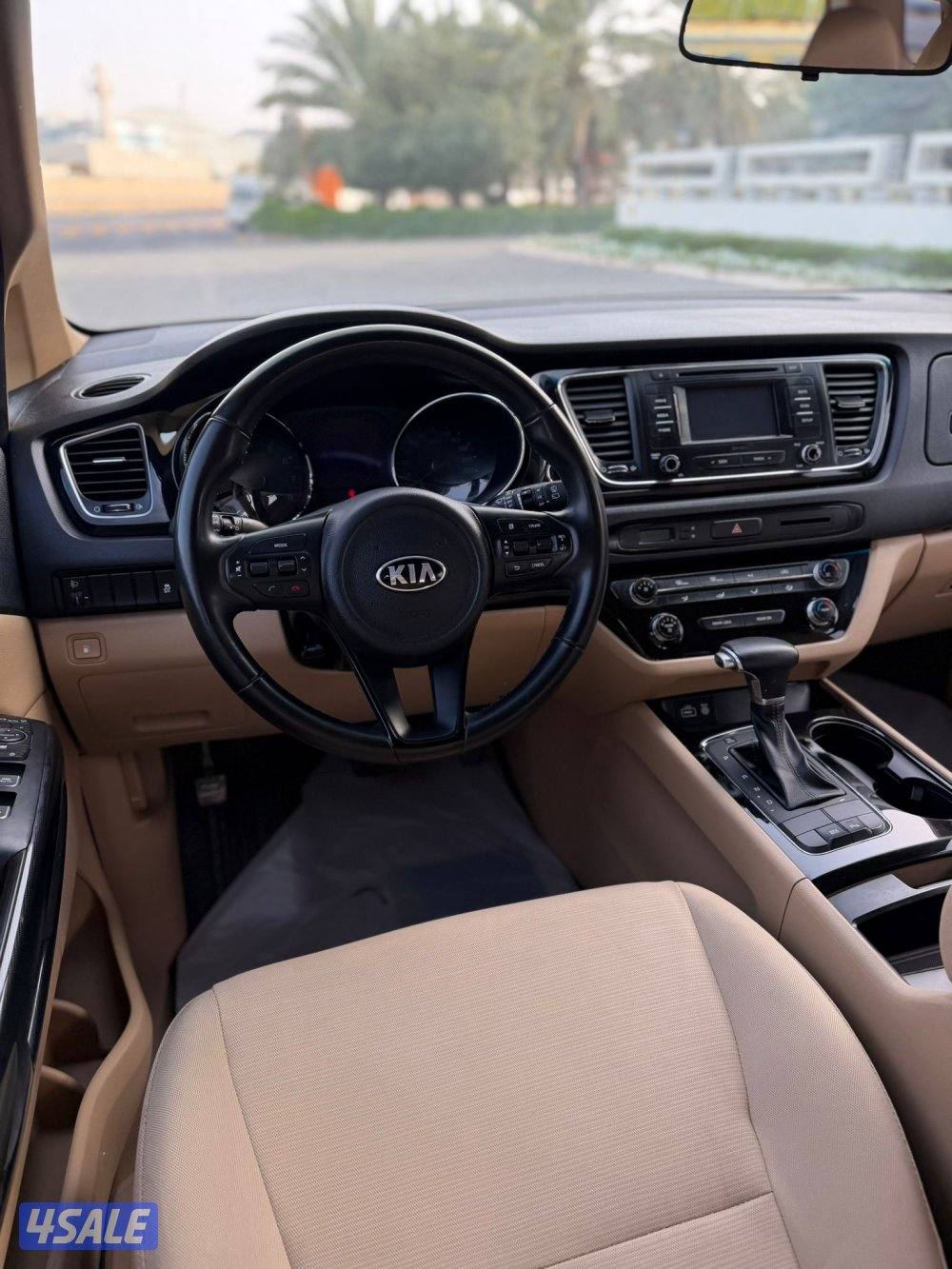 كرنفال 2018 بحالة الوكالة6