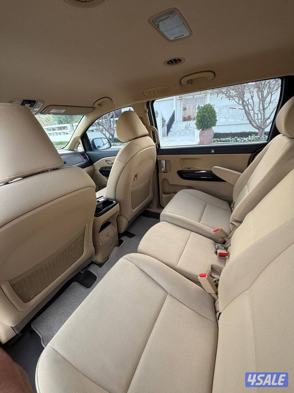 كرنفال 2018 بحالة الوكالة8