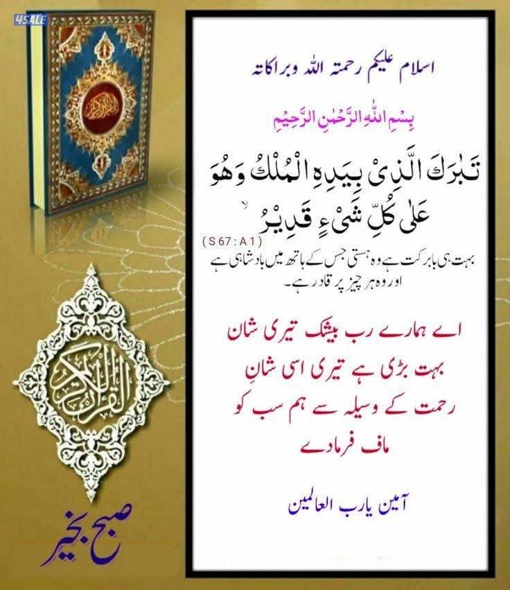 شاب يمني معاي ليسن0