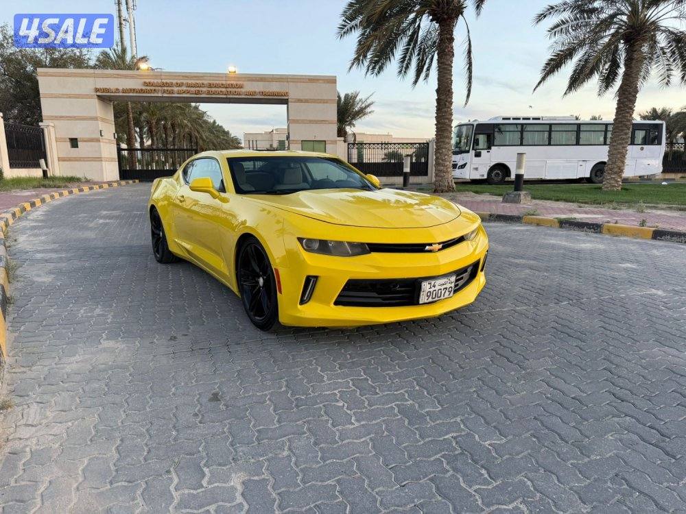 للمعاينة العارضية الحرفيه1