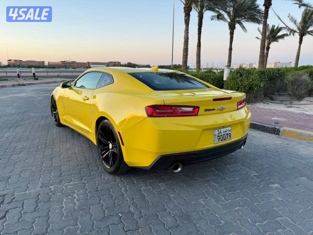 للمعاينة العارضية الحرفيه2