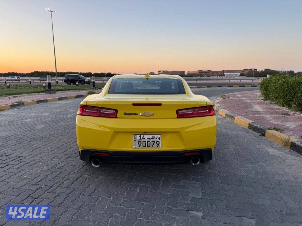 للمعاينة العارضية الحرفيه4