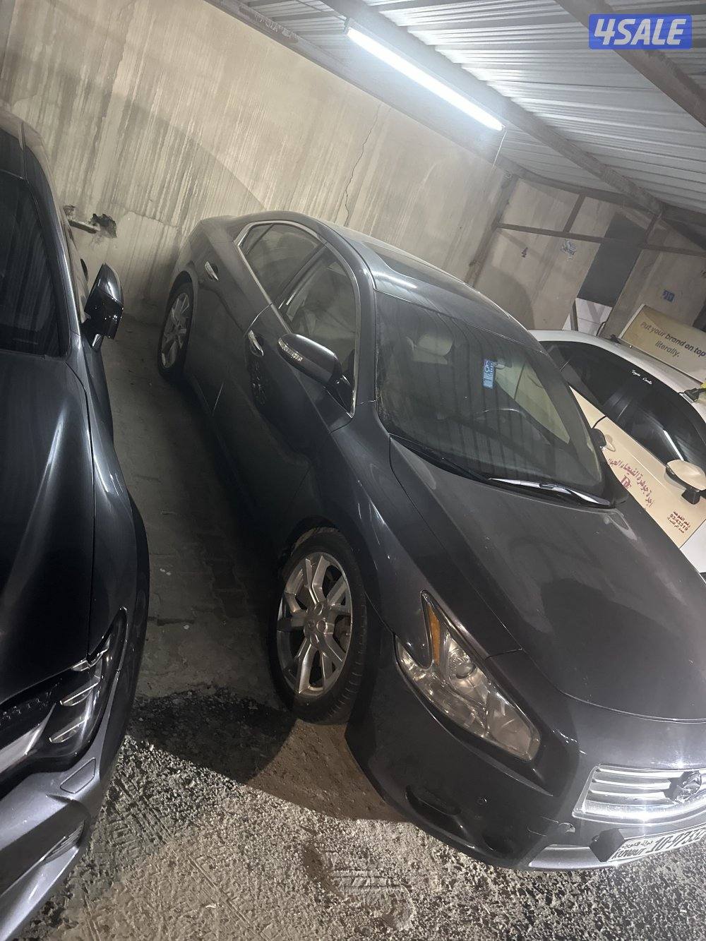 للبع سيارة ماكسيما العداد 1602