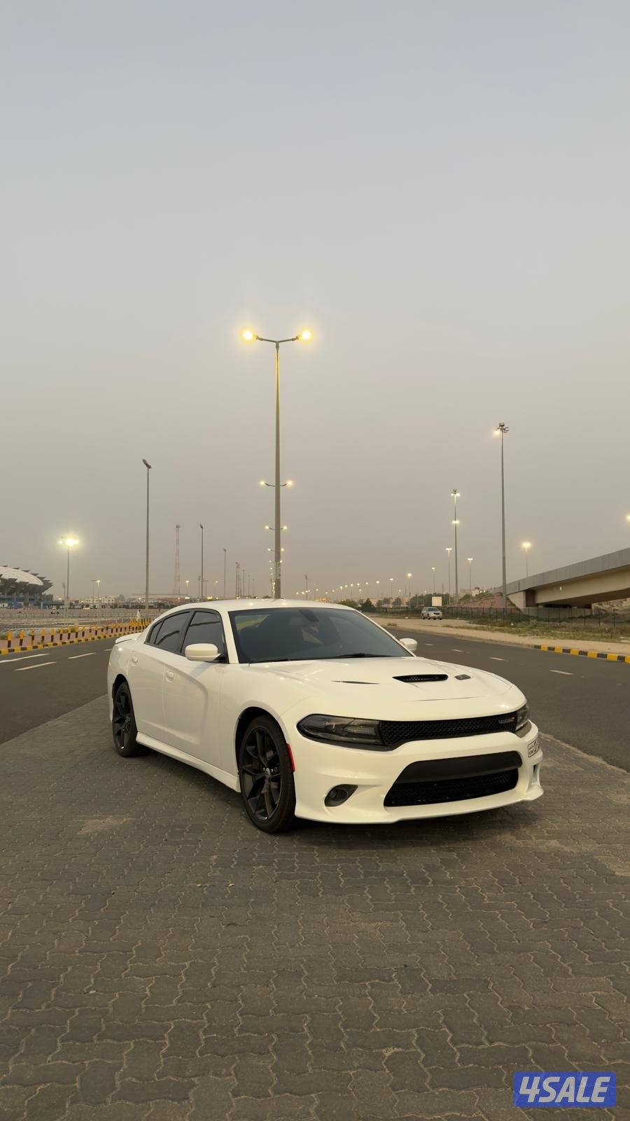 المالك الاول - 20204