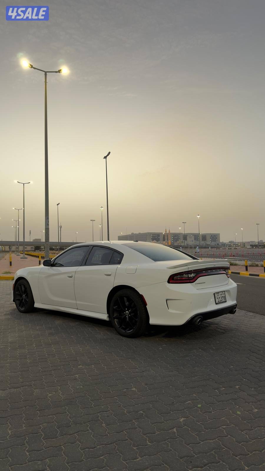 المالك الاول - 20206