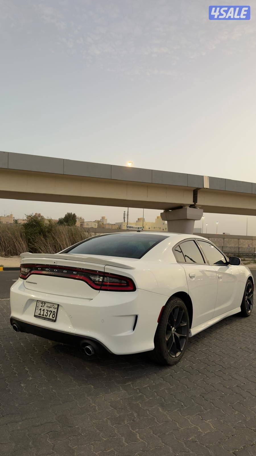 المالك الاول - 20207