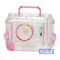 هامستر سوري 🐹💕 Syrian Hamster11