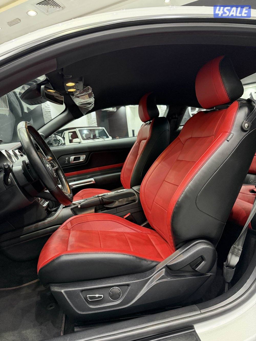 موستنق بريميوم 20196