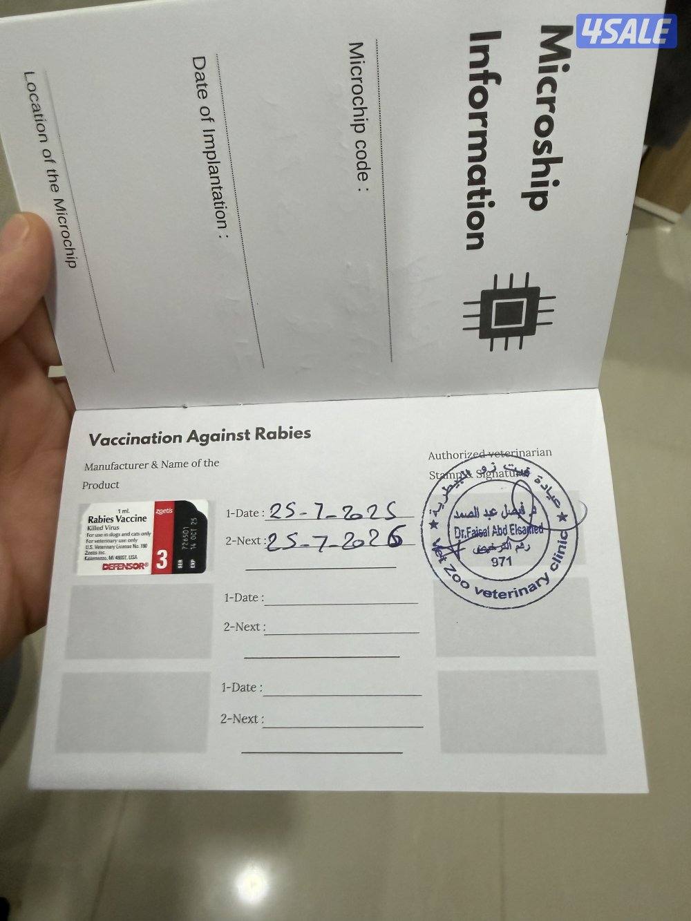 ذكر تشاو تشاو عمره سنه لعوب جدا مع الجميع والاطفال متعود على البادز5