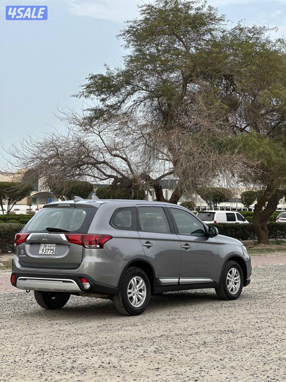 للبيع اوتلاندر 20194