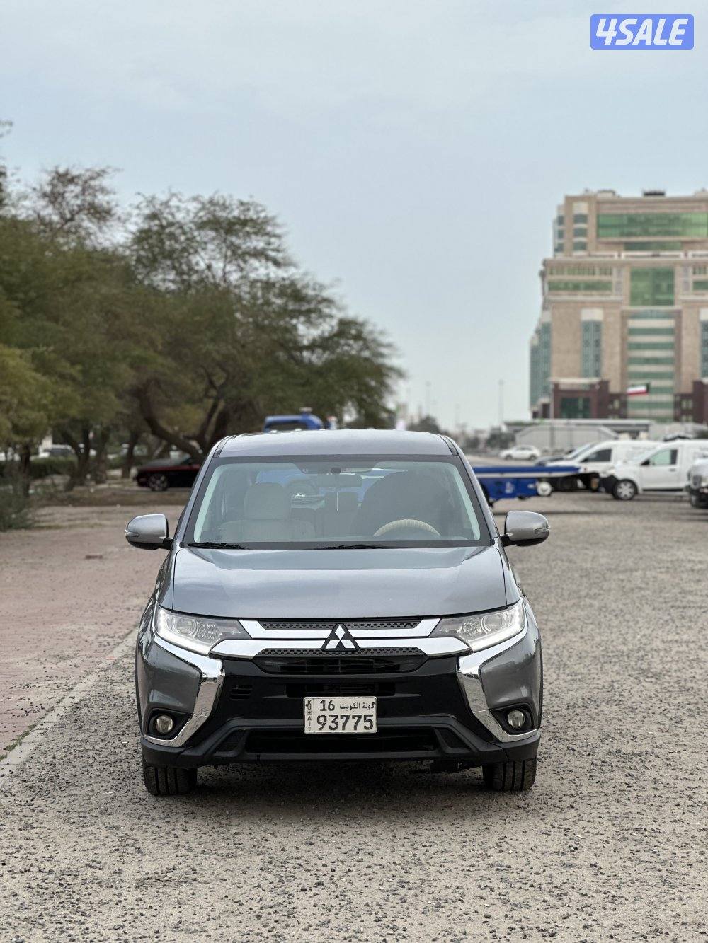 للبيع اوتلاندر 20195