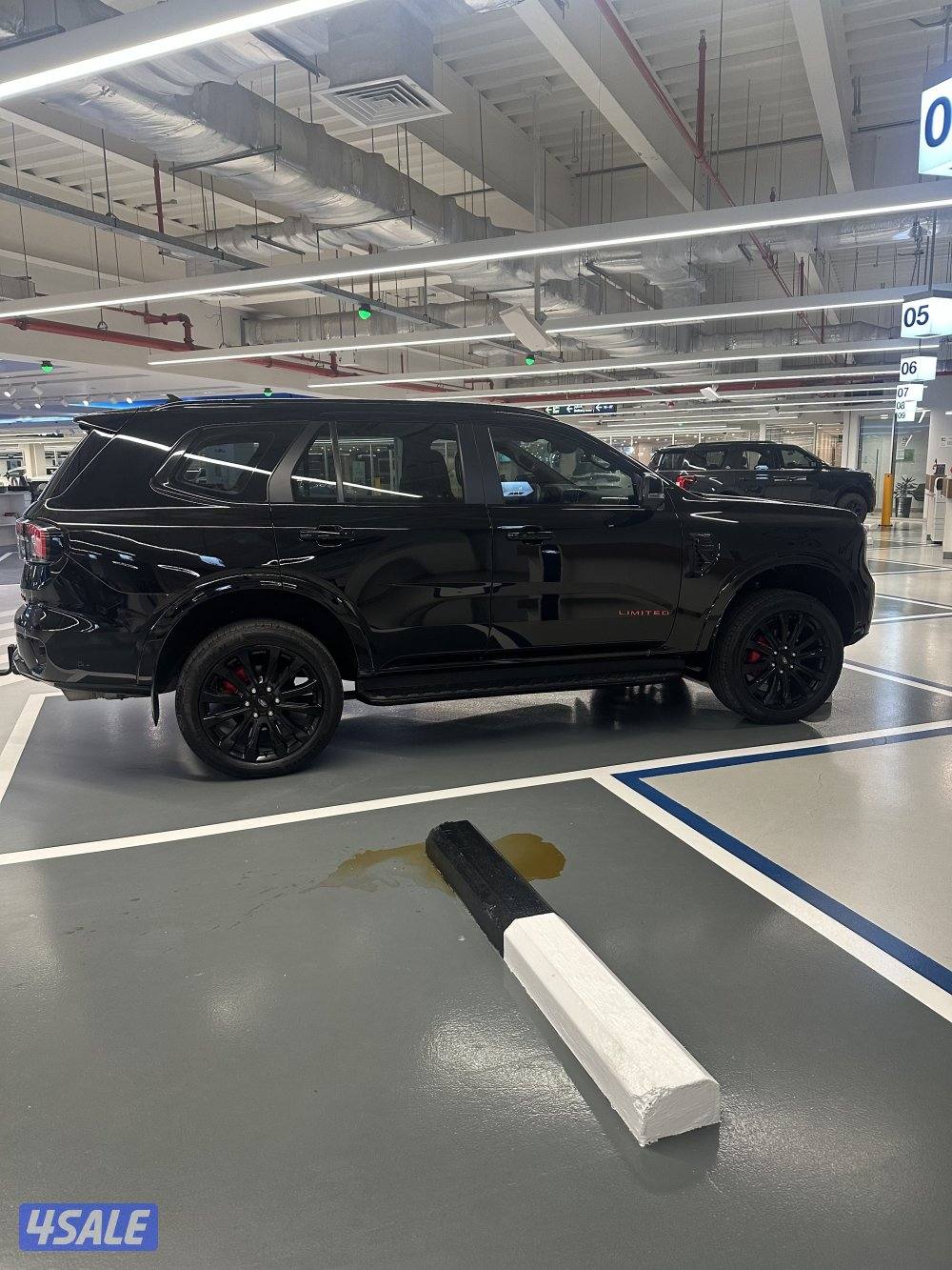 جيب فورد ايفريست 20249