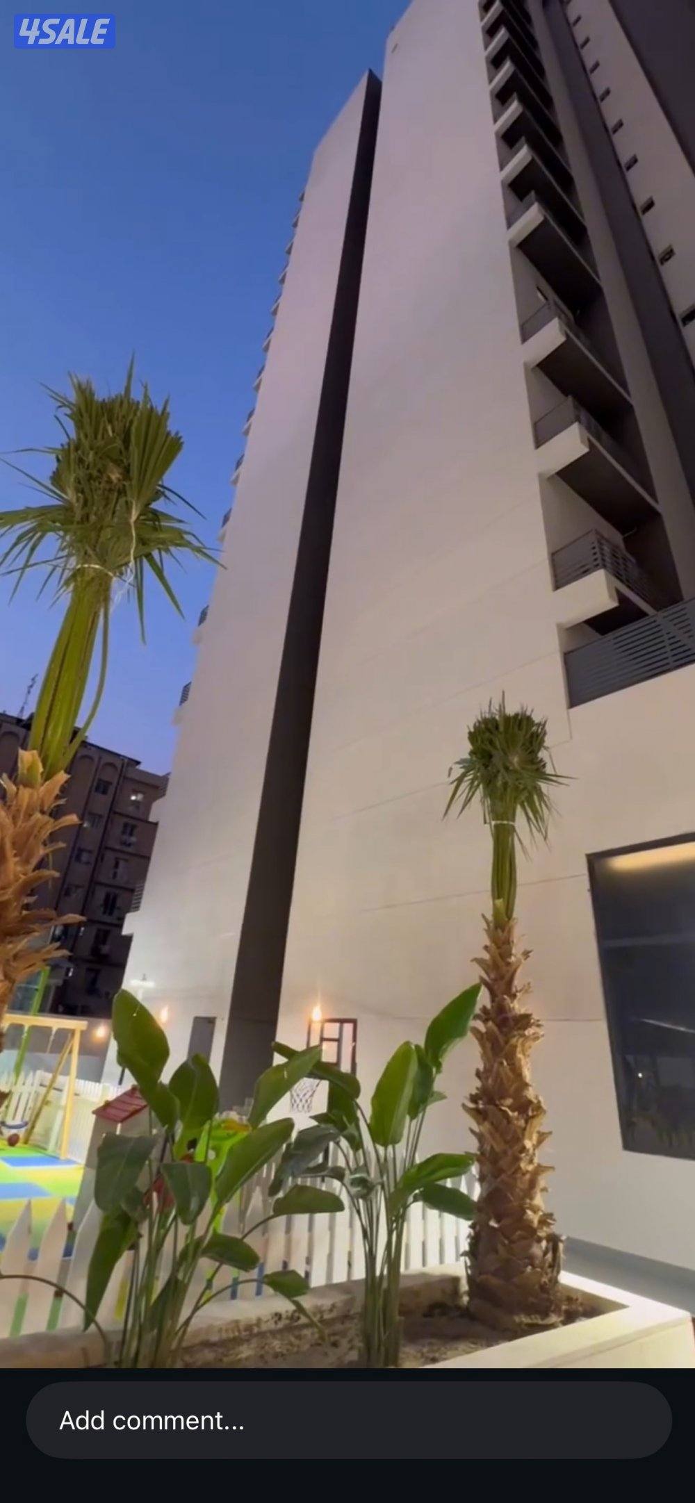 شقة بالسالمية الايجار13