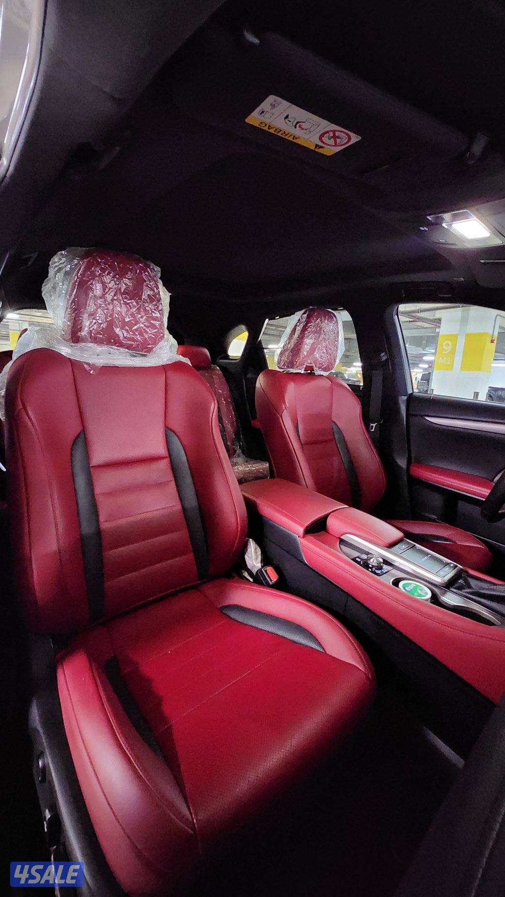 RX350-Fsport Luxury9