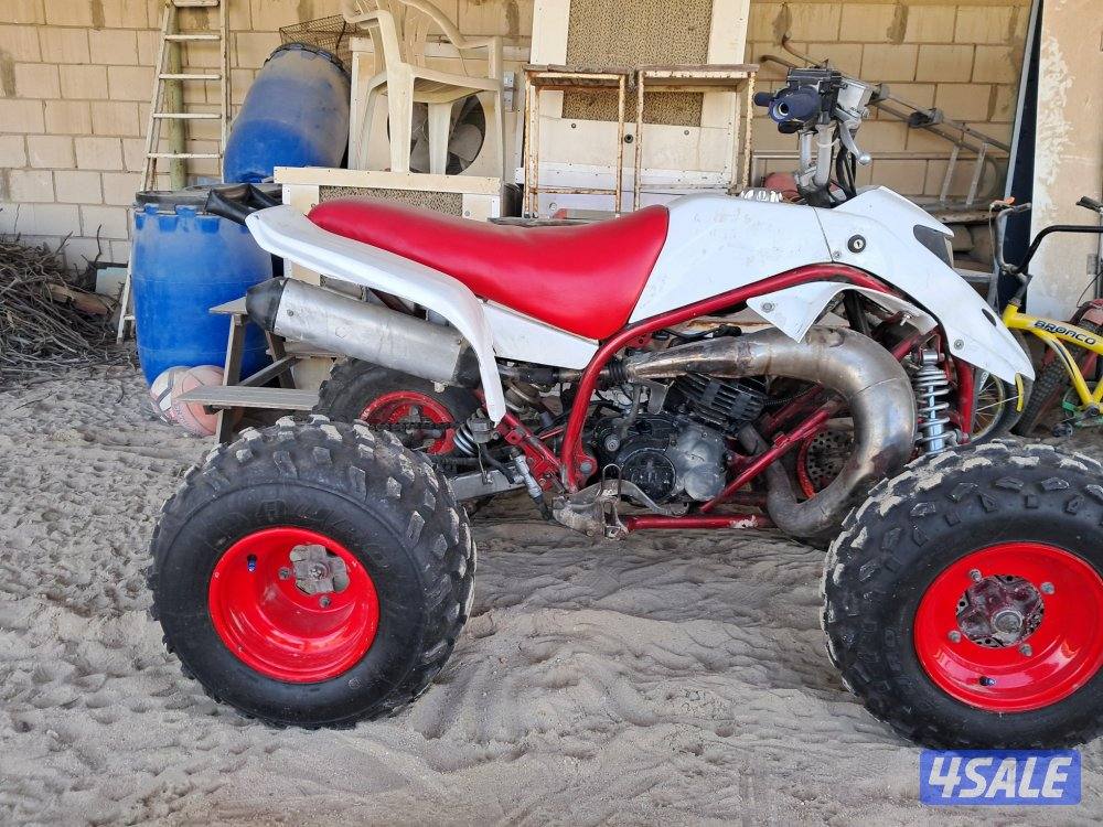 للبيع ياماها بلاستر فرخ البانشي1