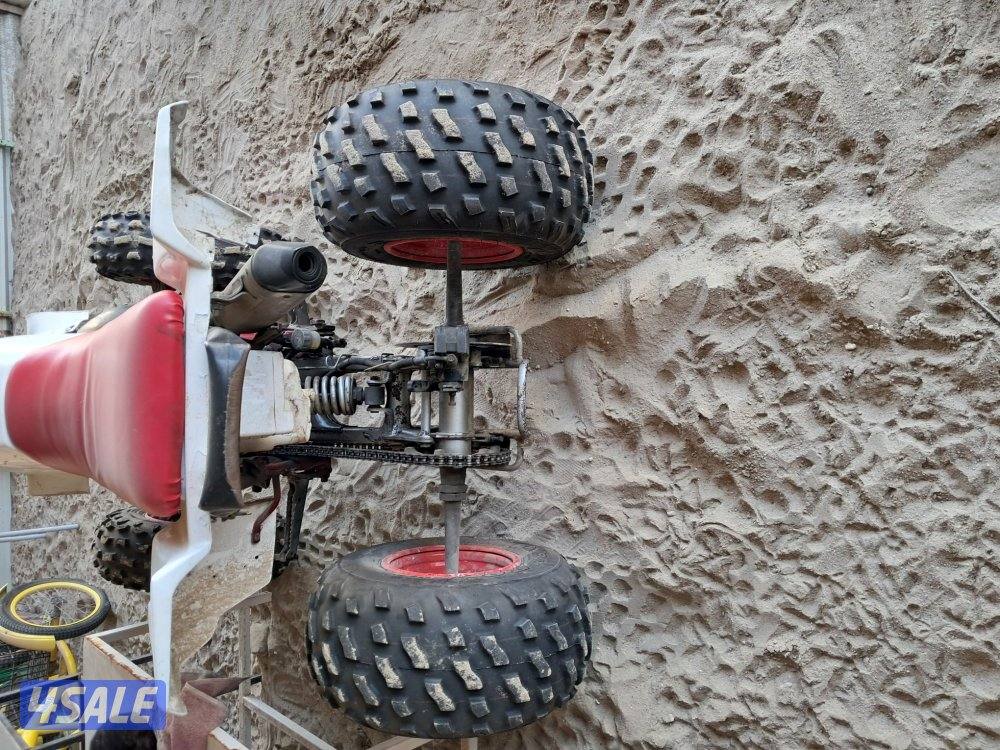 للبيع ياماها بلاستر فرخ البانشي2