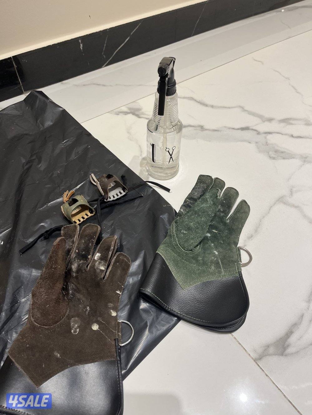 طير حميم.ج مدرب مع اغراضه3