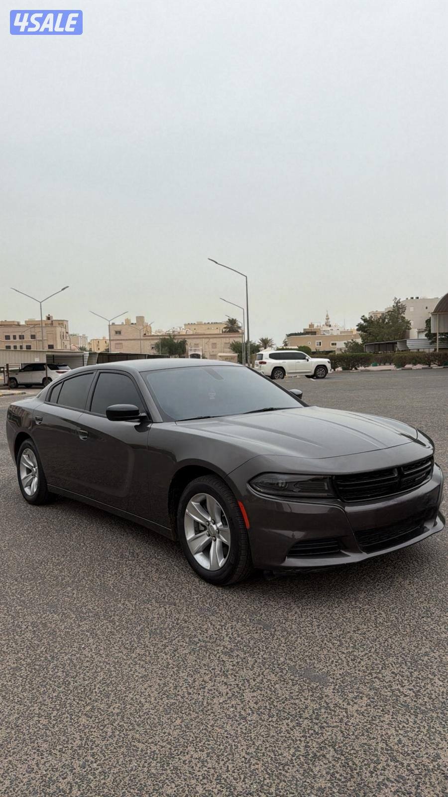 شرط الفحص بالكامل1