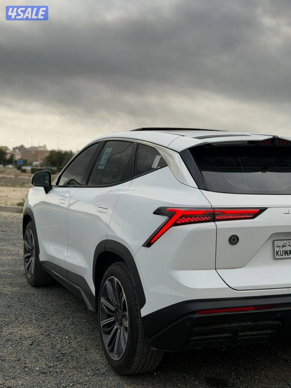 للبيع جيتور-داشنج20243