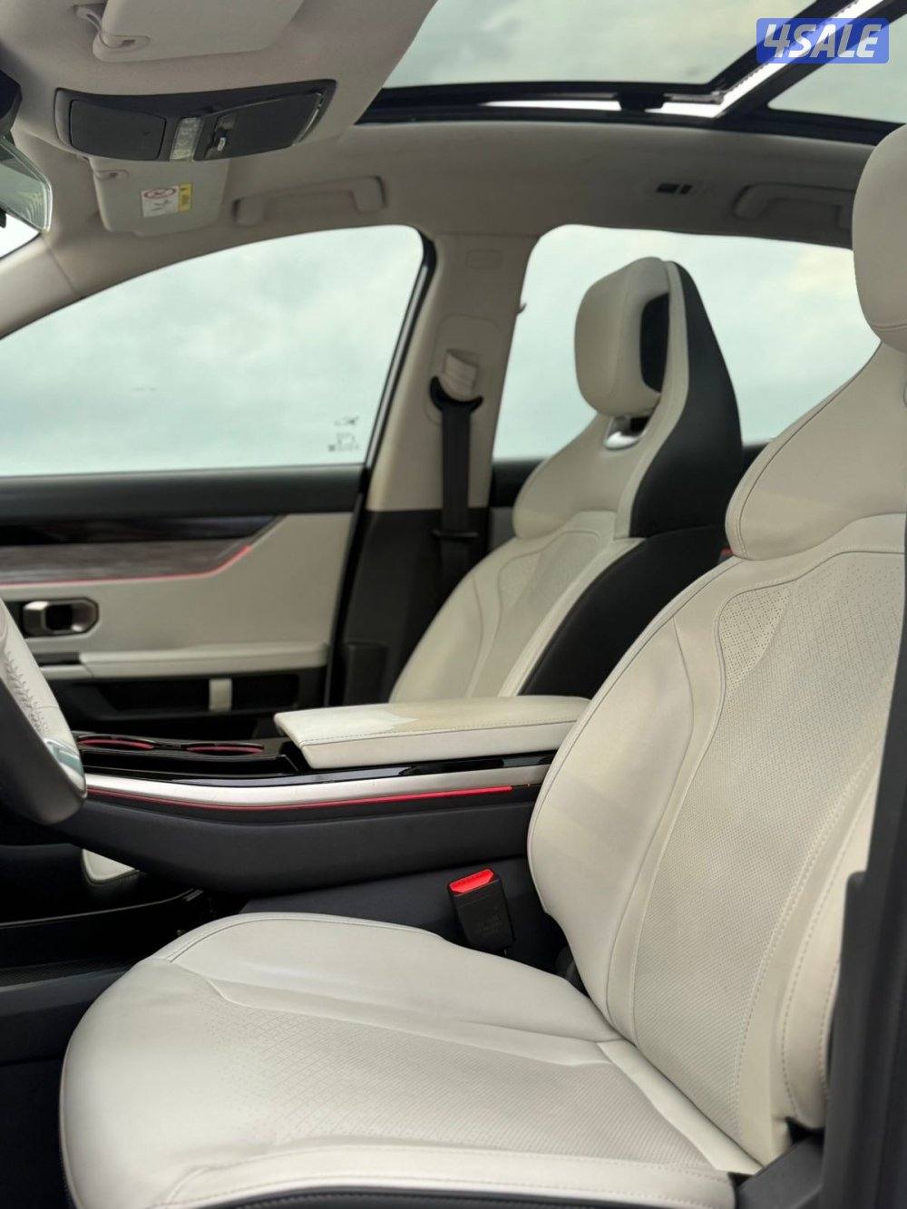 للبيع جيتور-داشنج20246