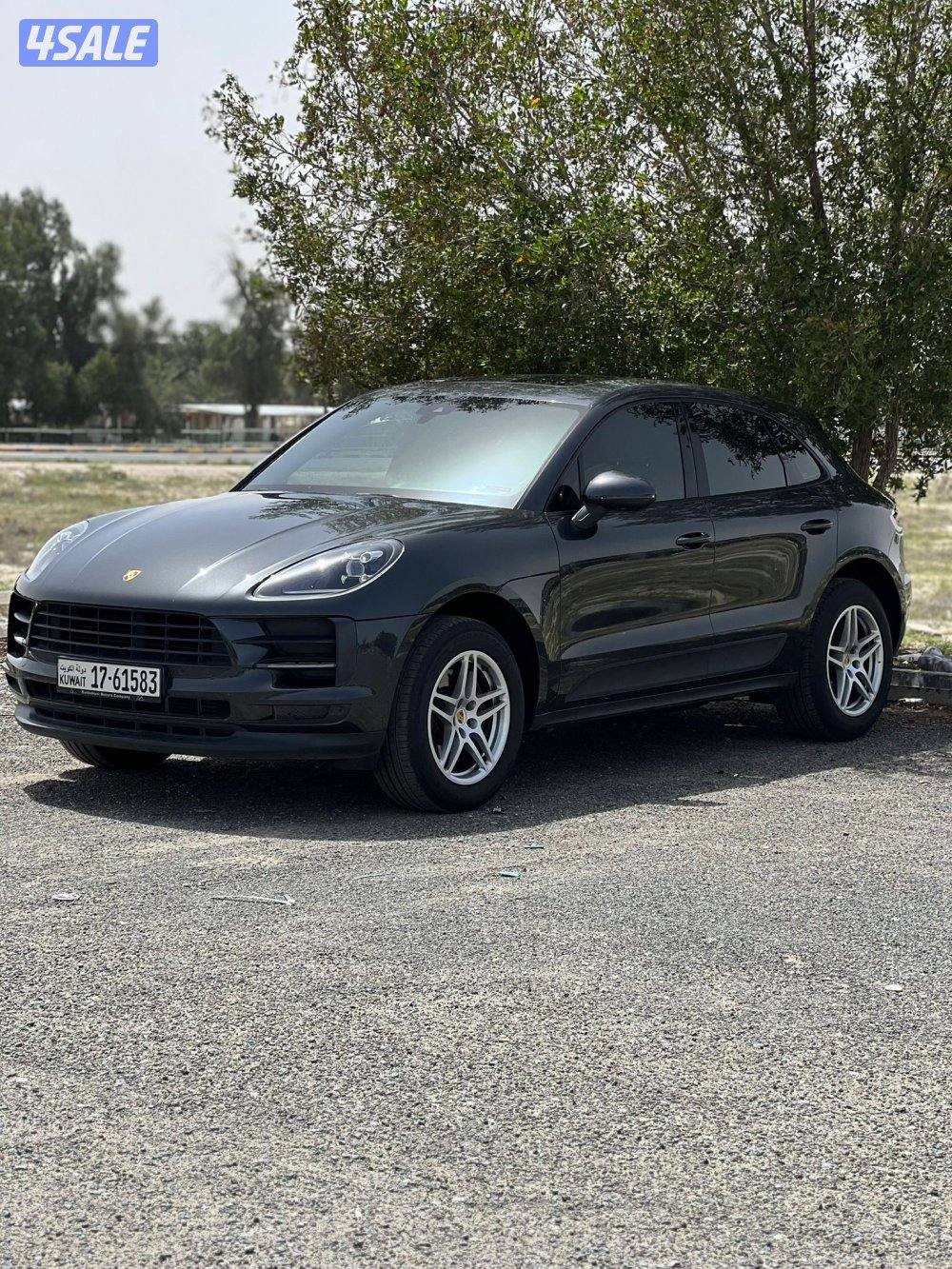 قمه بنضافه بحاله وكاله1