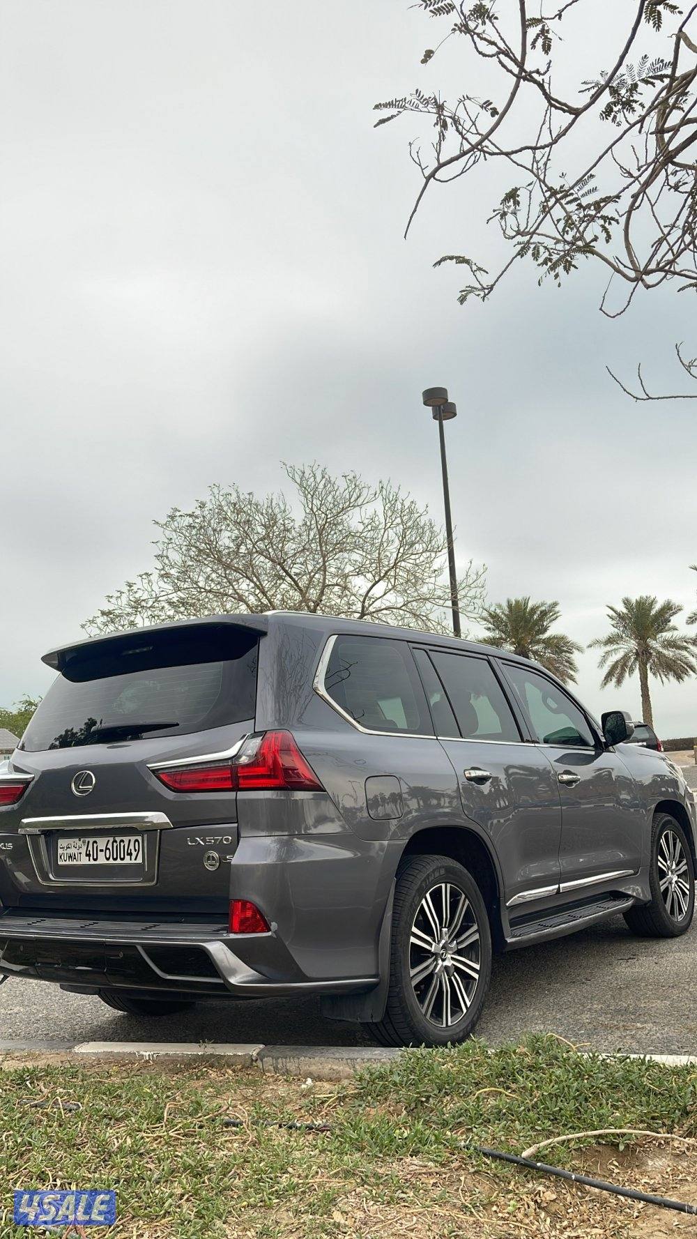 ٢٠١٦ صبغ الوكاله وارد الساير0