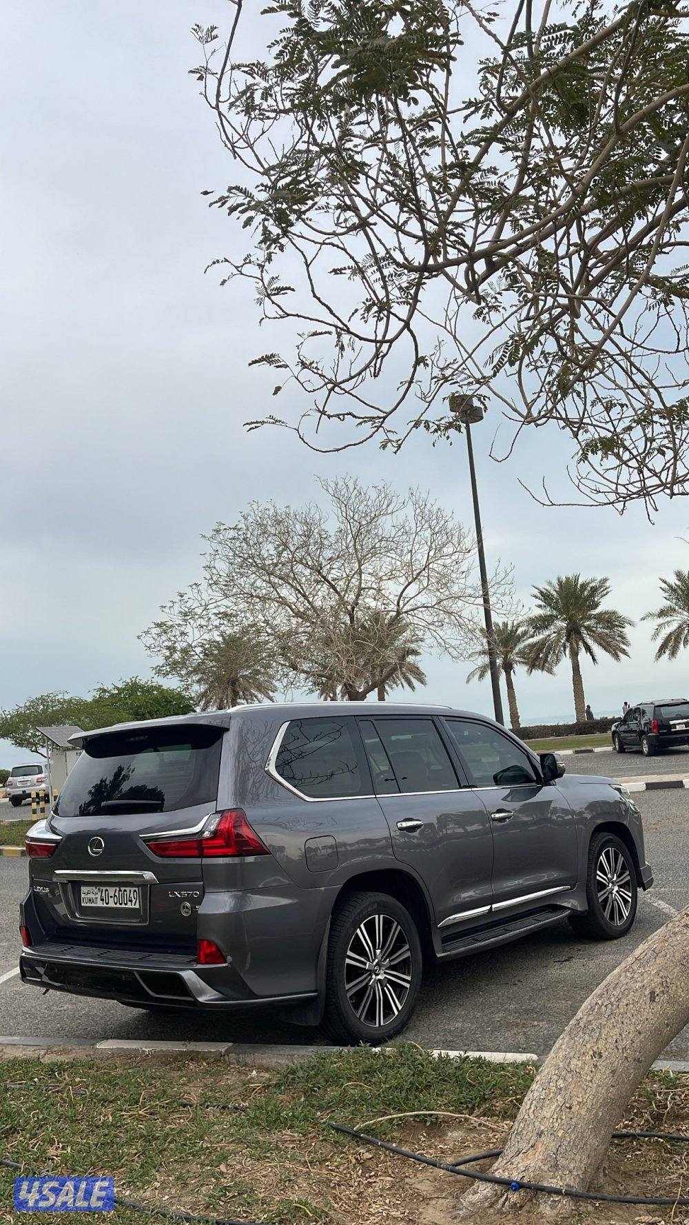 ٢٠١٦ صبغ الوكاله وارد الساير1