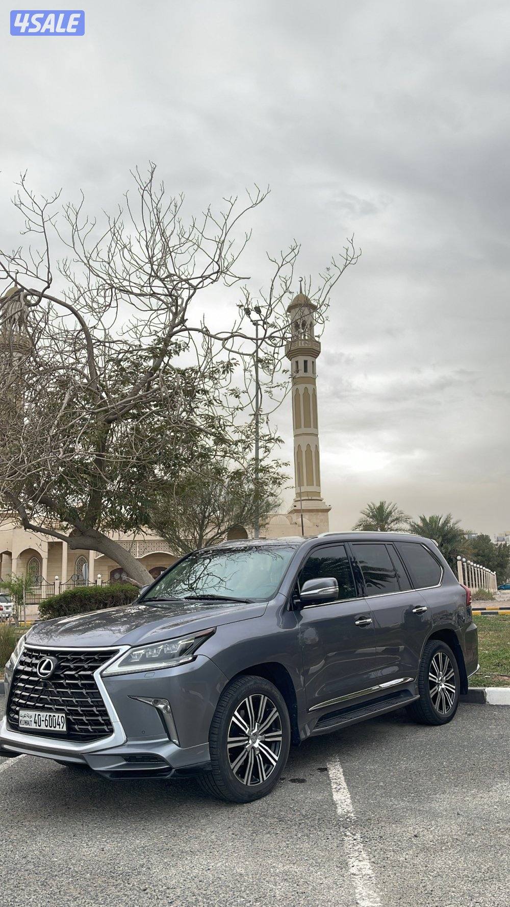 ٢٠١٦ صبغ الوكاله وارد الساير5