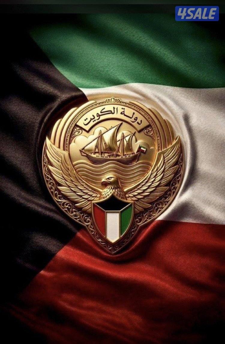 صباح الناصر قطعة 4 شارع 331