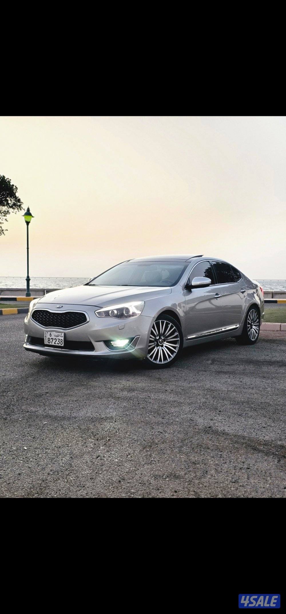 كادينزا بحالة الوكالة0