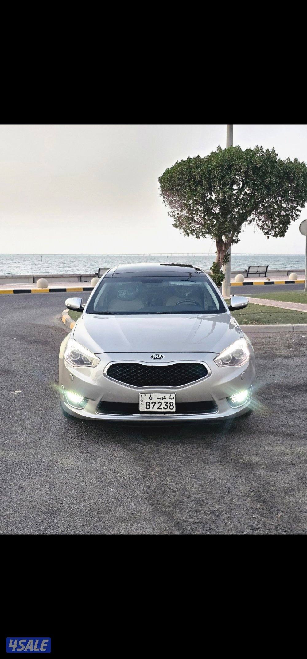 كادينزا بحالة الوكالة1