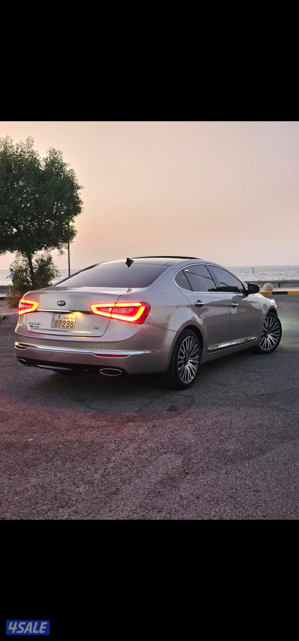 كادينزا بحالة الوكالة2