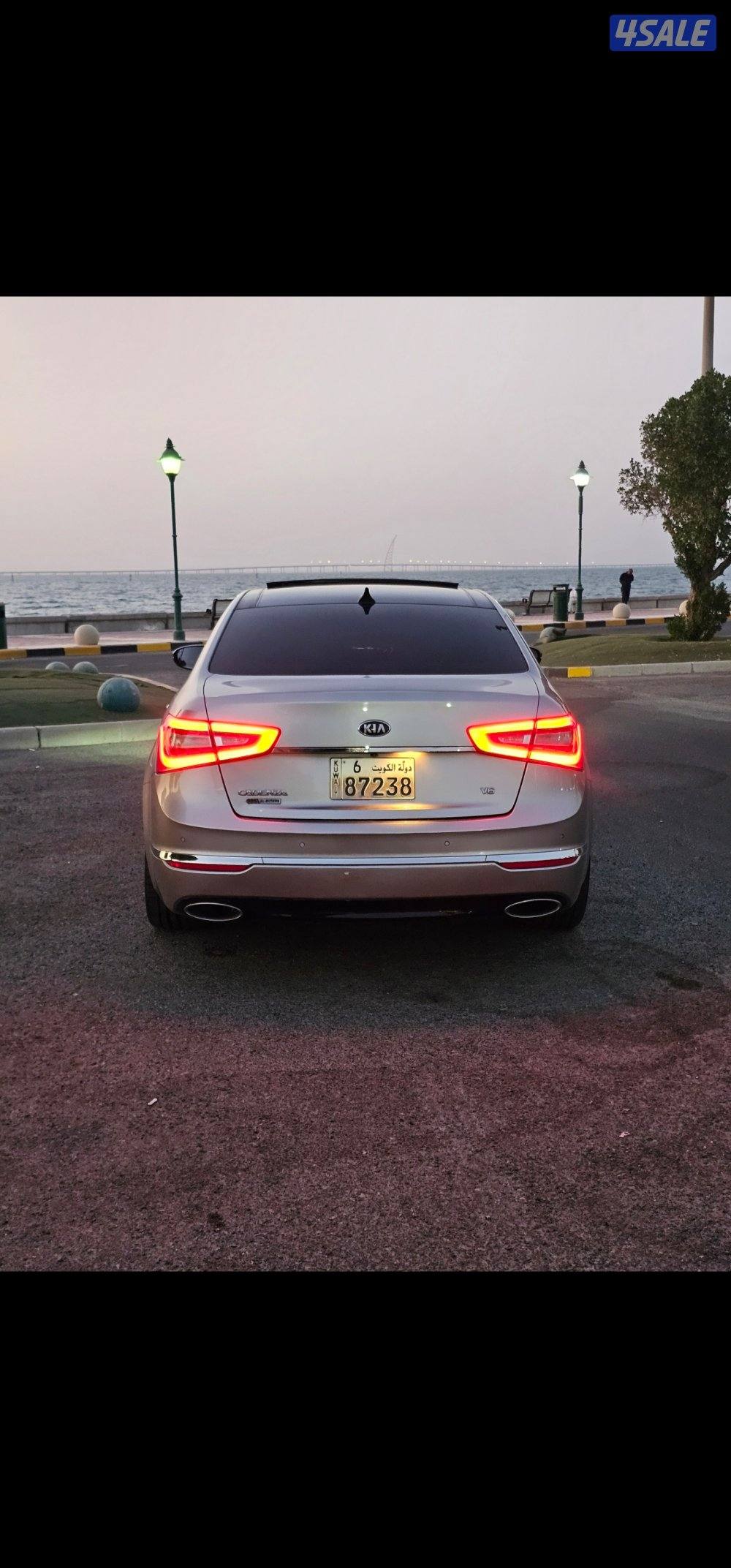 كادينزا بحالة الوكالة3