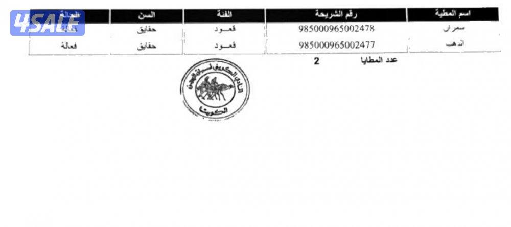للبيع عدد ٢ حقايق فيهم شريحة عمانيات اصيله1