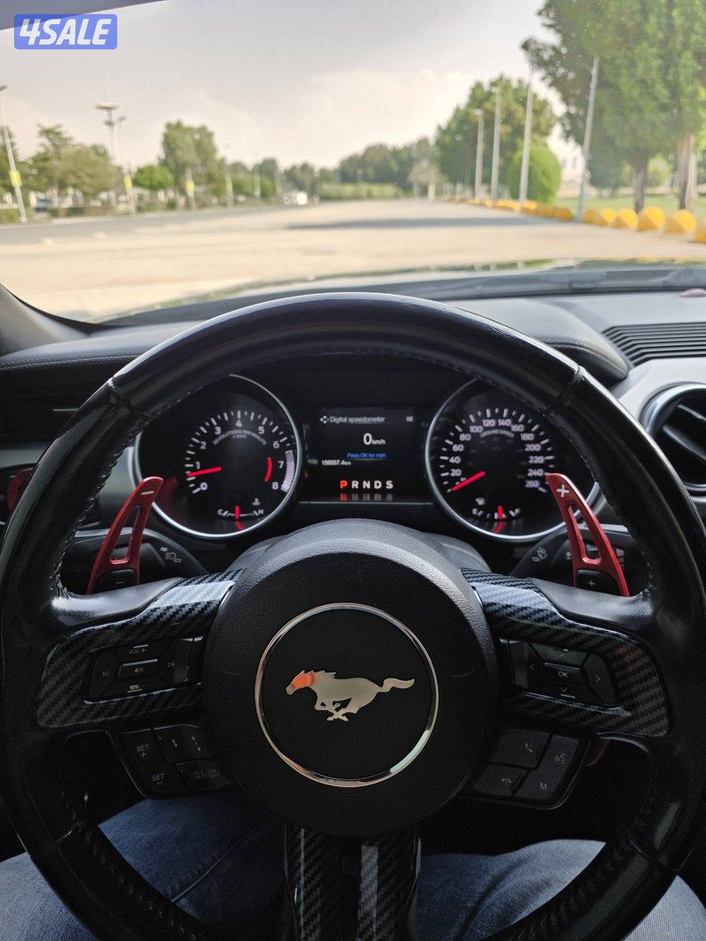 موستنغ بريميوم5