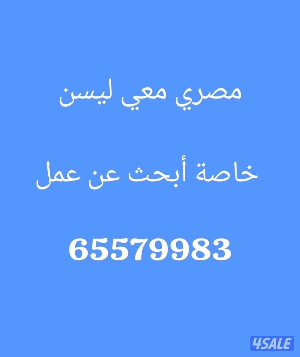 مصري معي ليسن خاصة أبحث عن عمل0