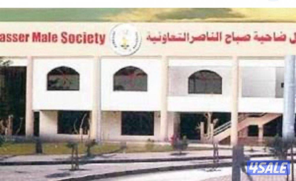 صباح الناصر0